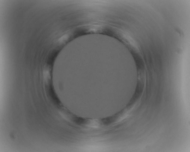 X0000115390127200911241254