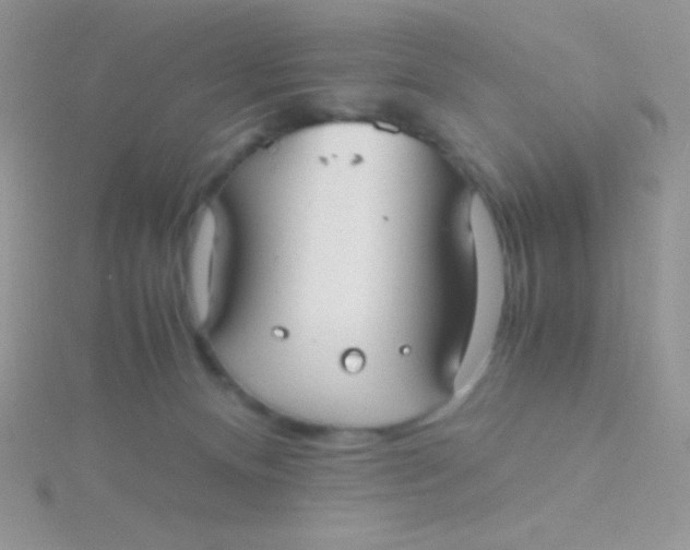 X0000115390128200911241254