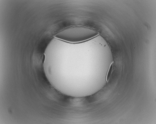 X0000115390129200911241254