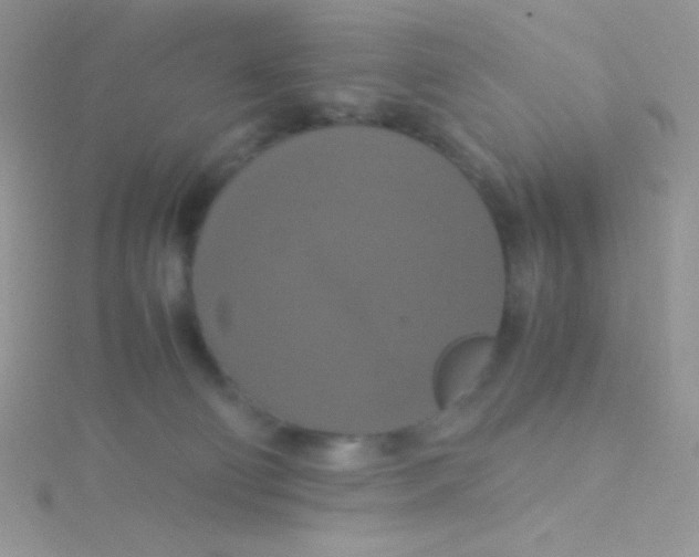 X0000115390130200911241254