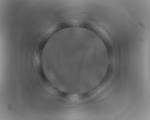 X0000115390131200911241254