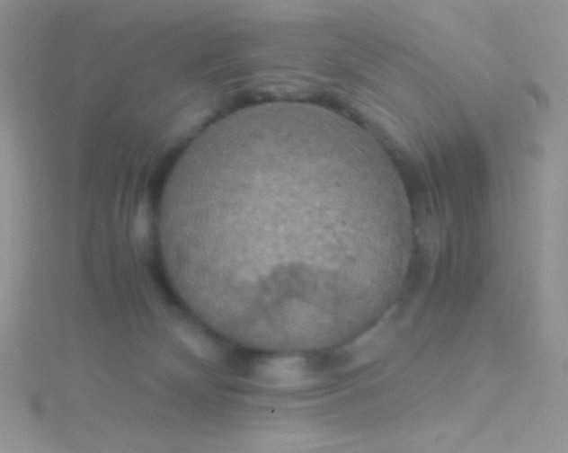 X0000115390132200911241254