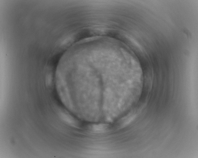 X0000115390134200911241254