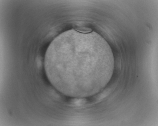 X0000115390135200911241254