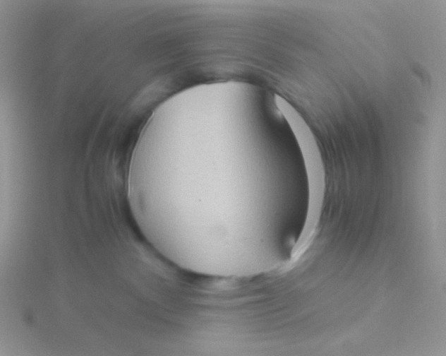 X0000115390140200911241254