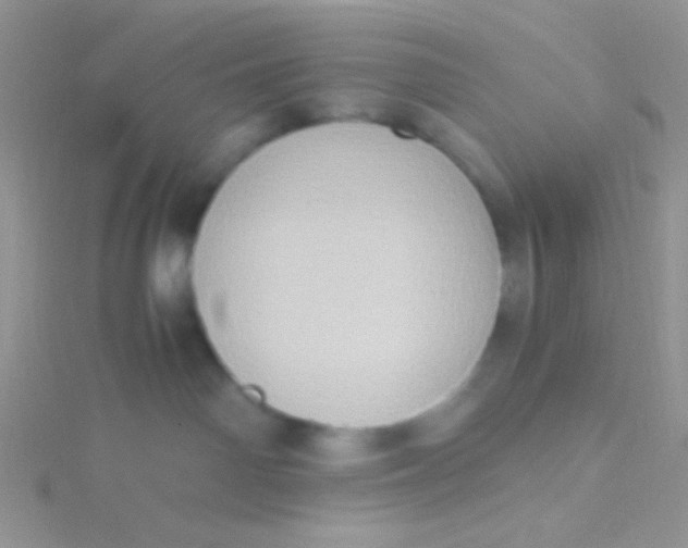 X0000115390142200911241254