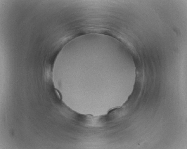 X0000115390143200911241254