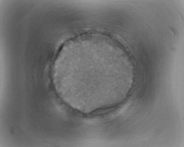 X0000115390144200911241254