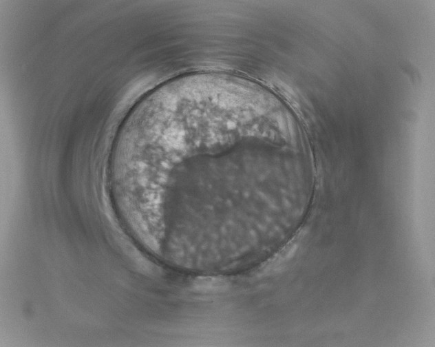 X0000115390145200911241253