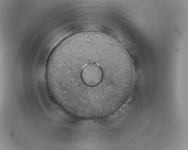 X0000115390146200911241253