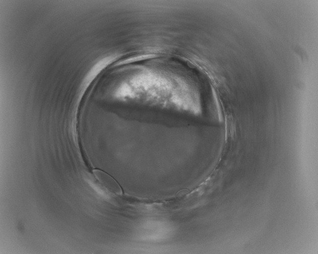 X0000115390147200911241253