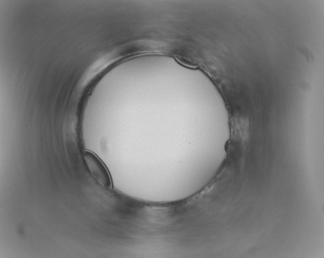 X0000115390150200911241253