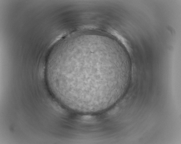 X0000115390153200911241253