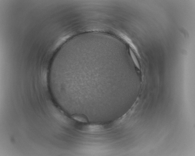 X0000115390154200911241253