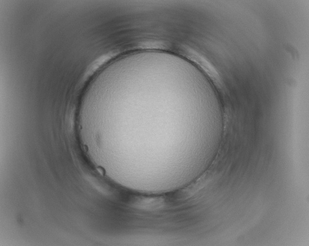 X0000115390155200911241253