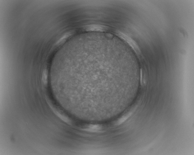 X0000115390157200911241253