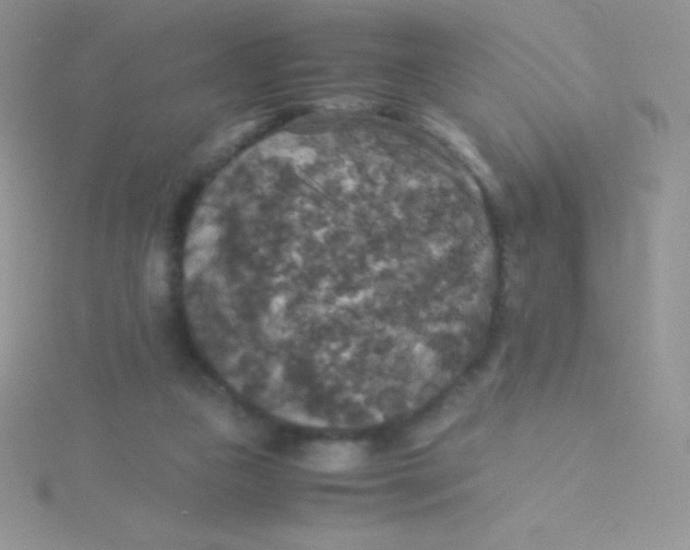 X0000115390161200911241253