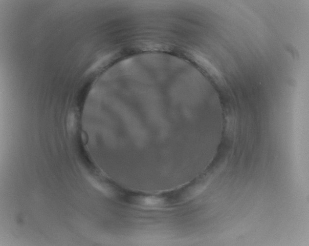 X0000115390165200911241253