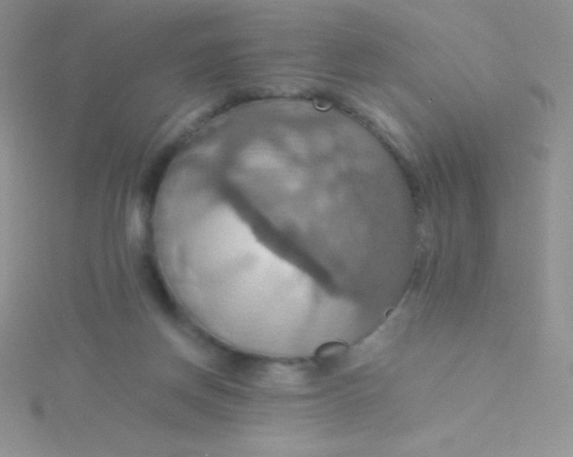 X0000115390166200911241253