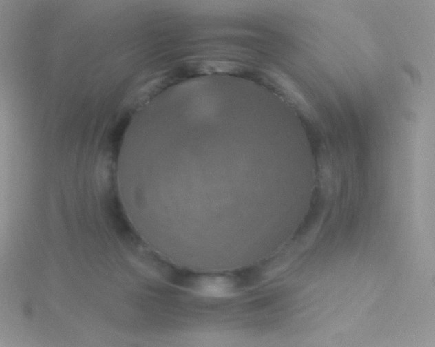 X0000115390169200911241253