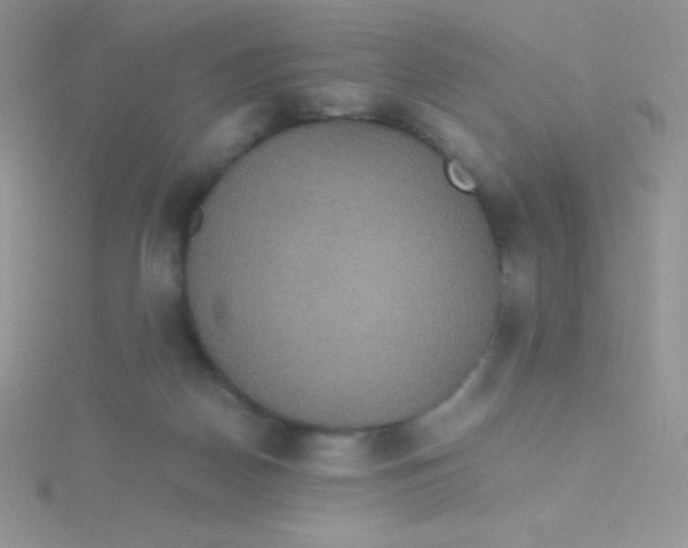 X0000115390170200911241253