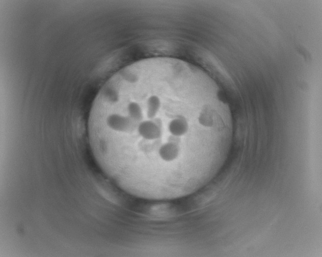 X0000115390173200911241253