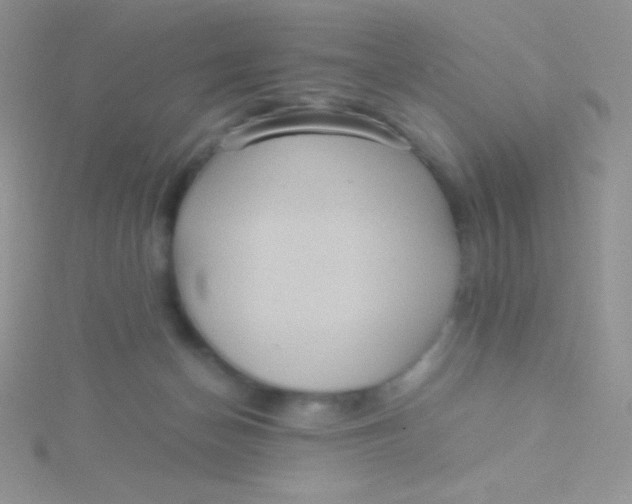 X0000115390174200911241253