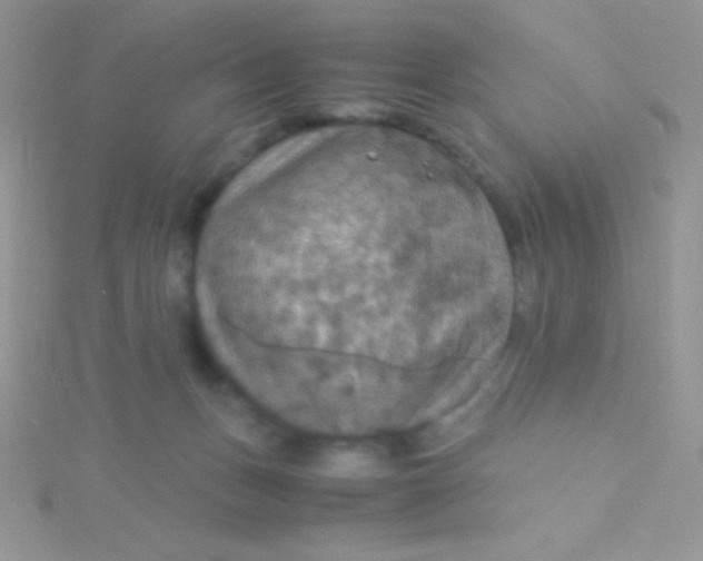 X0000115390175200911241253