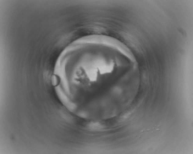 X0000115390177200911241253