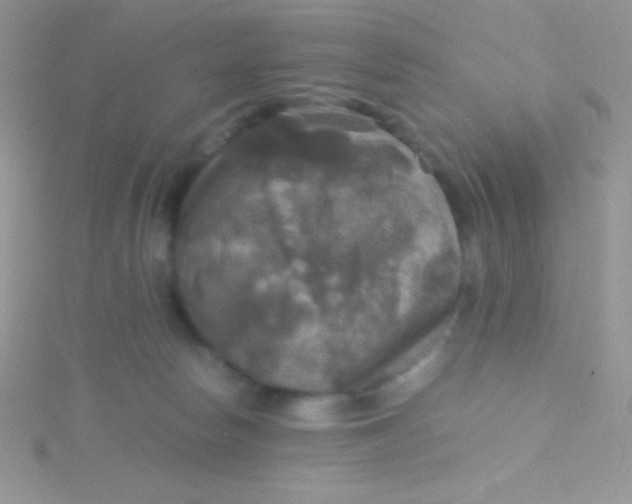 X0000115390178200911241253