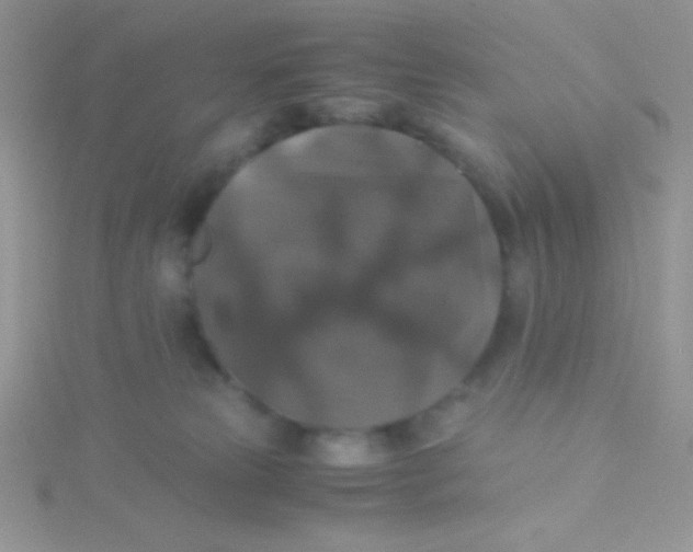 X0000115390181200911241253