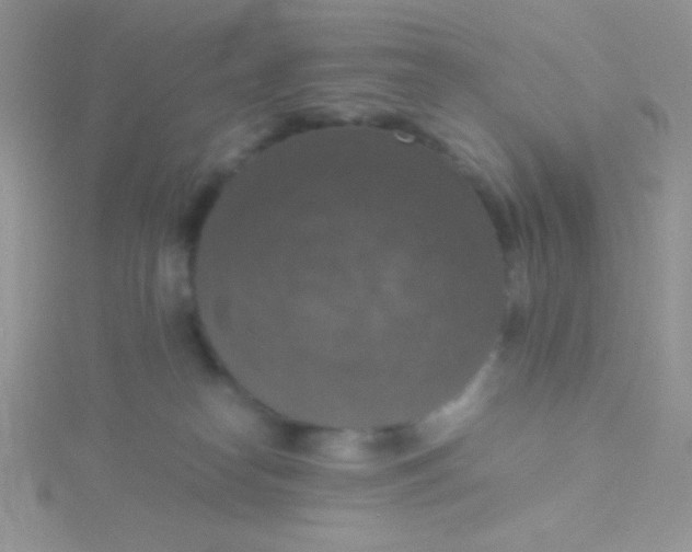 X0000115390182200911241253