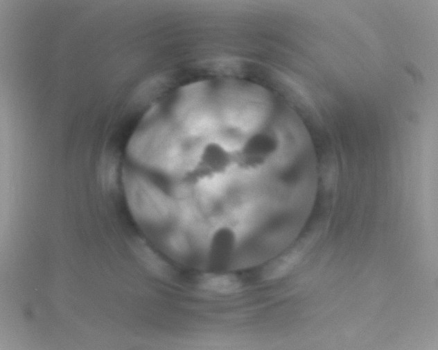 X0000115390185200911241253