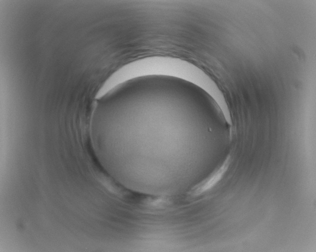 X0000115390186200911241254