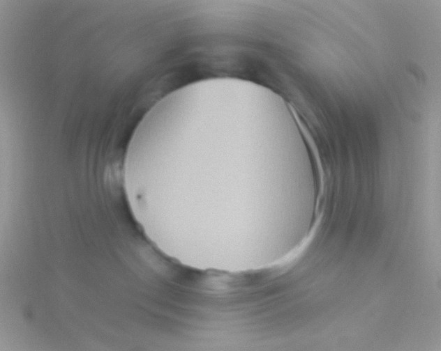 X0000115390190200911241254