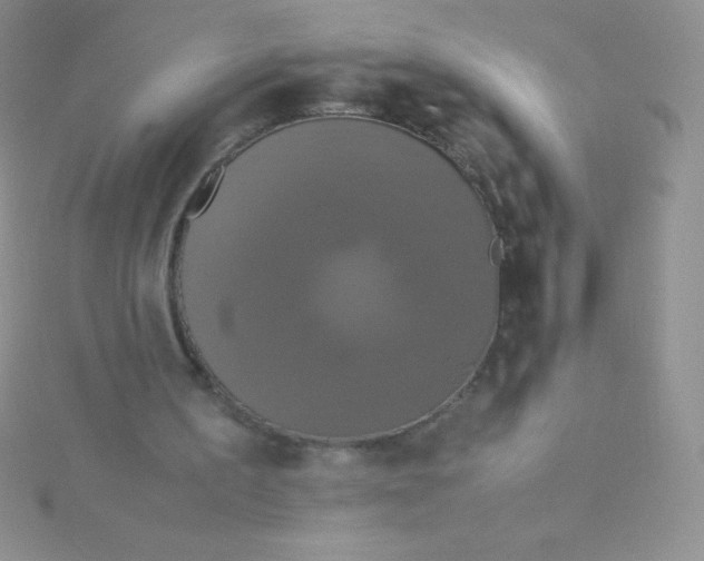 X0000115390195200911241253