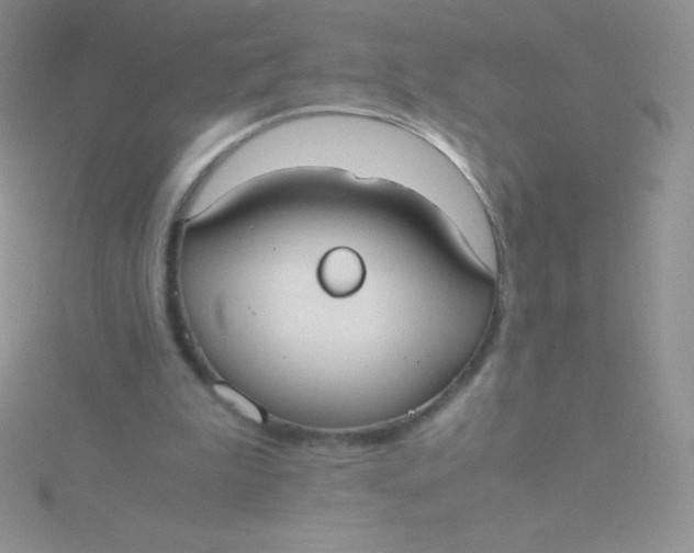 X0000115390199200911241253