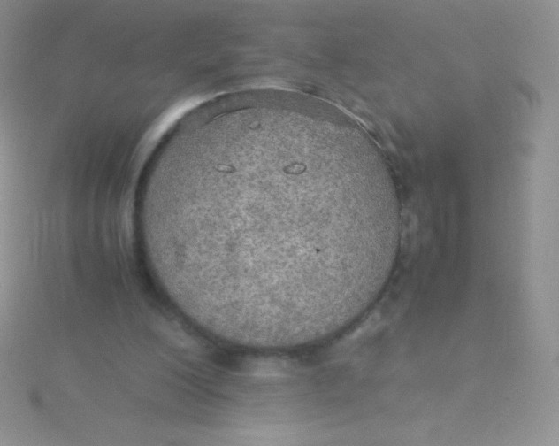 X0000115390200200911241253