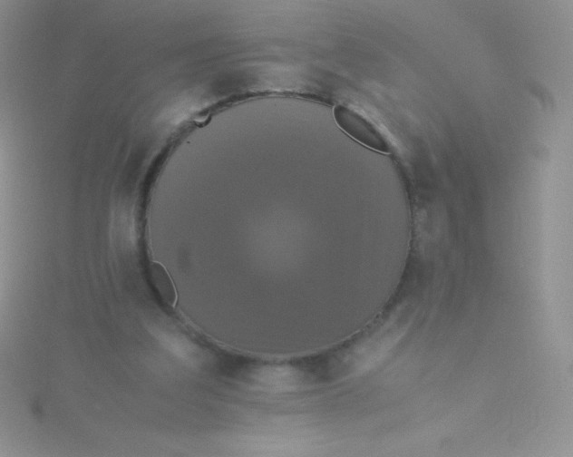 X0000115390203200911241253