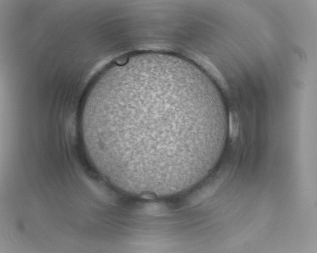 X0000115390204200911241253