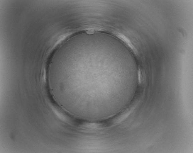 X0000115390205200911241253