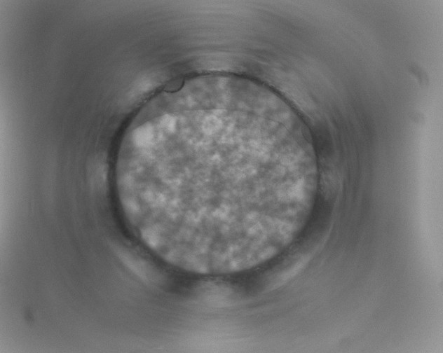 X0000115390207200911241253