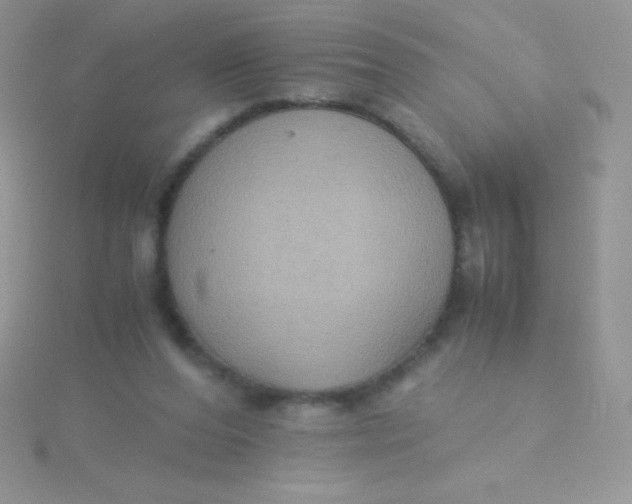 X0000115390208200911241253