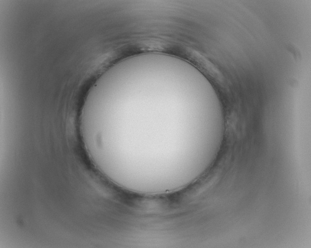 X0000115390209200911241253