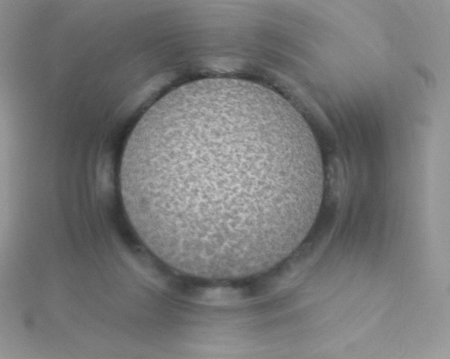 X0000115390212200911241253