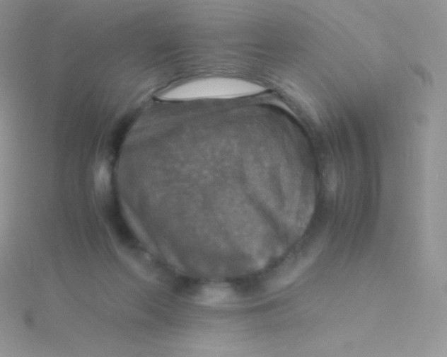 X0000115390214200911241253