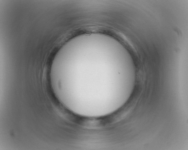 X0000115390217200911241253