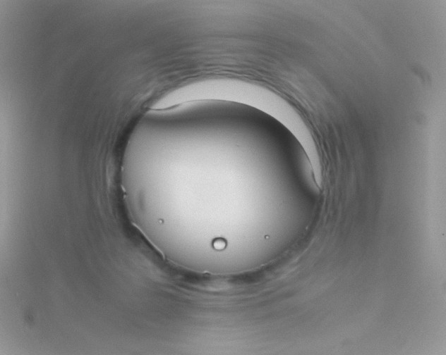 X0000115390219200911241253