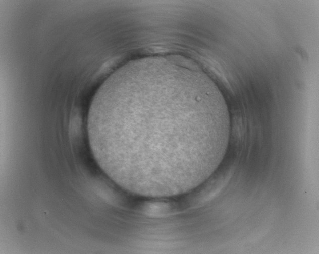 X0000115390220200911241253