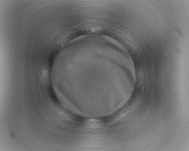 X0000115390222200911241253